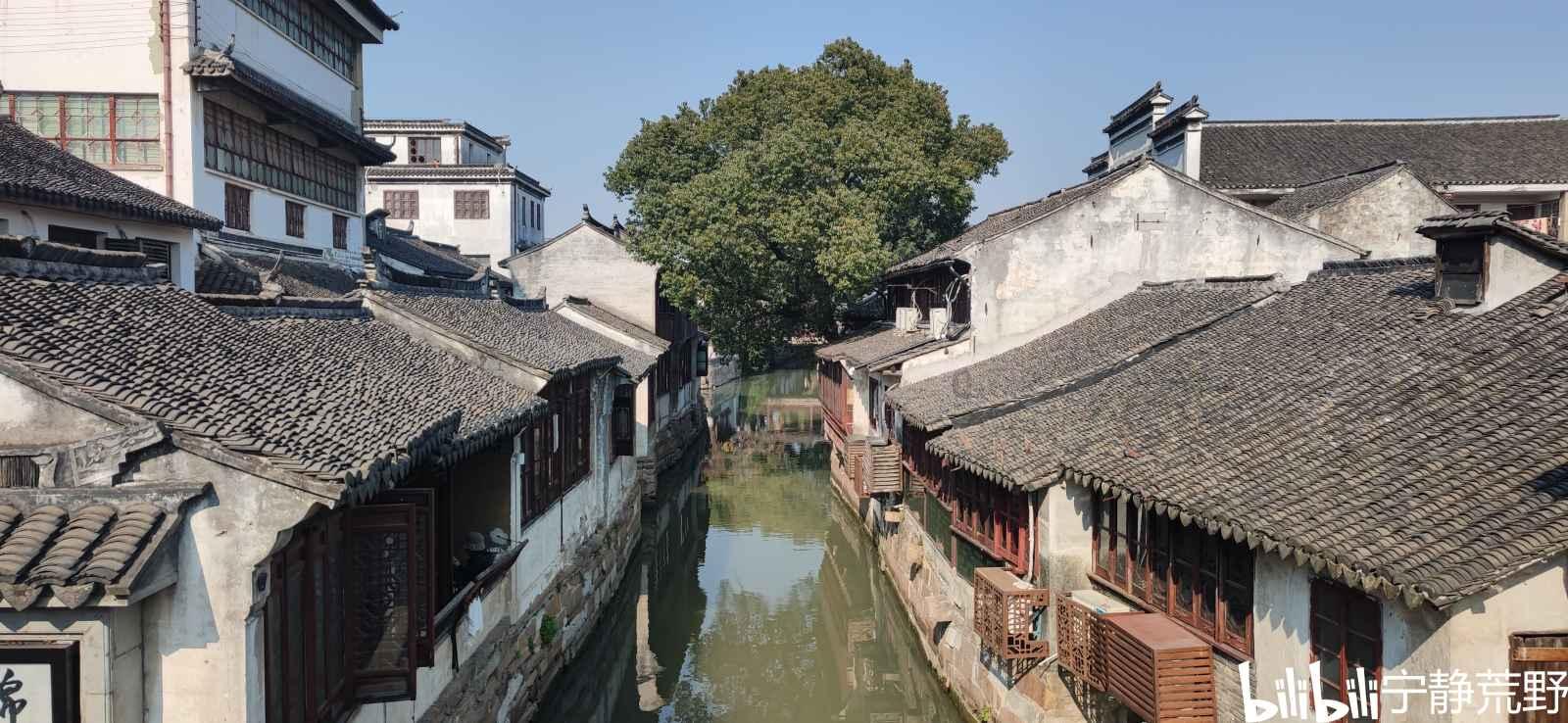 危险的亡命之徒
